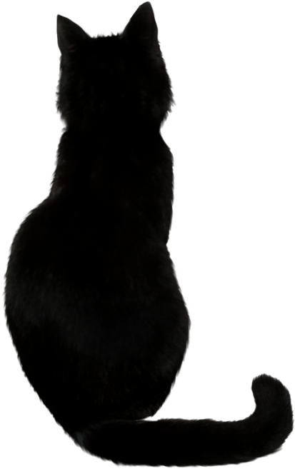 Silhouetteof Black Cat PNG image
