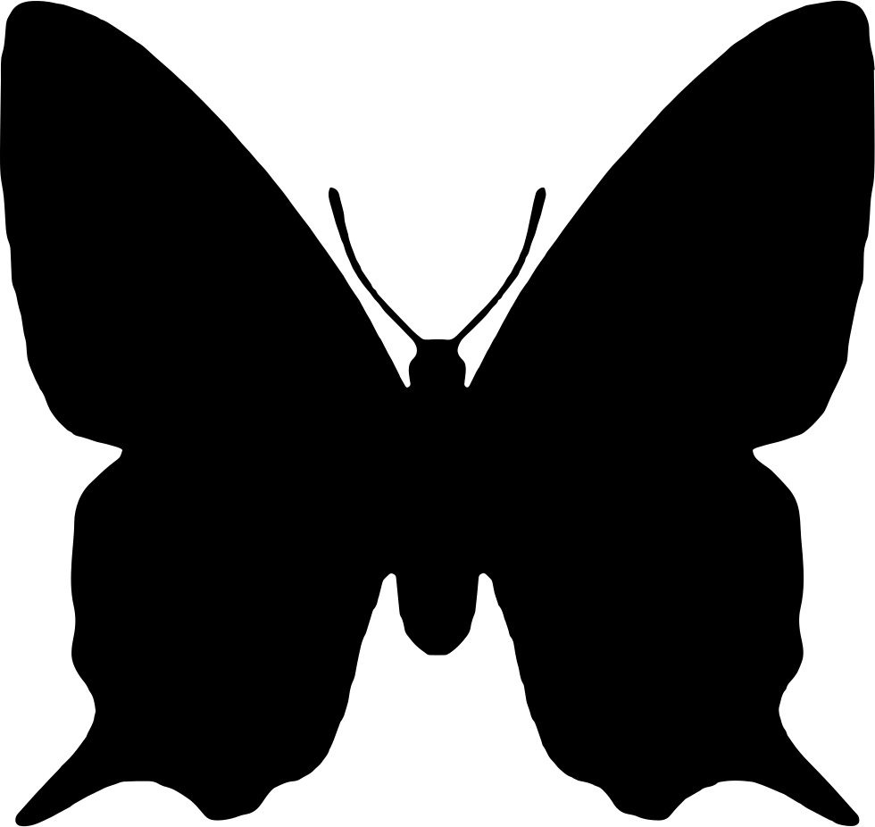 Silhouetteof Butterfly Wings PNG image