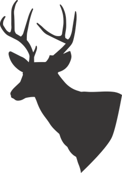 Silhouetteof Deer PNG image