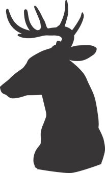 Silhouetteof Deer Profile PNG image