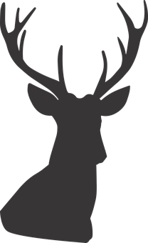 Silhouetteof Deerwith Antlers PNG image
