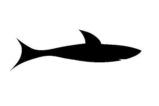 Silhouetteof Fish PNG image