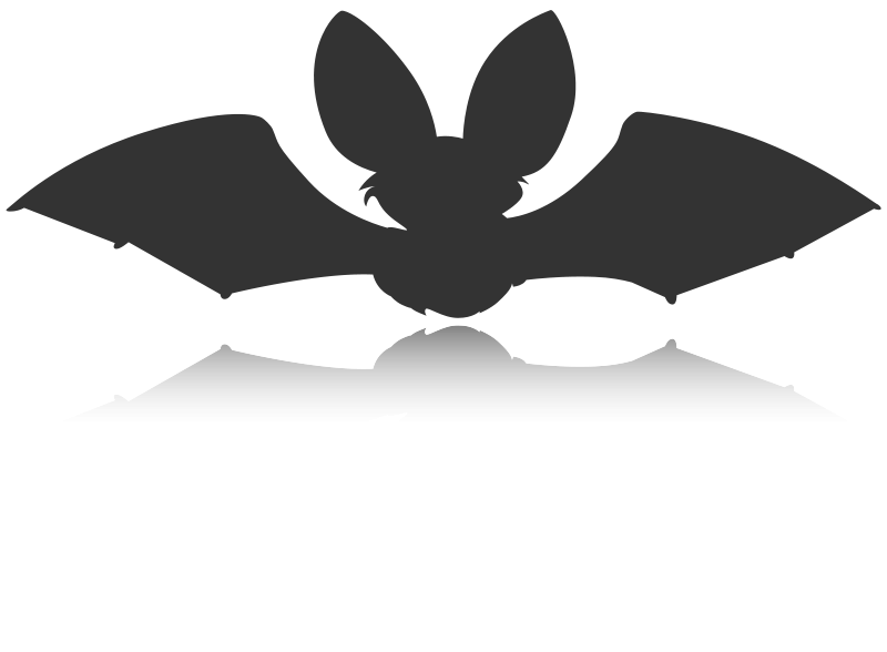 Silhouetteof Flying Bat PNG image