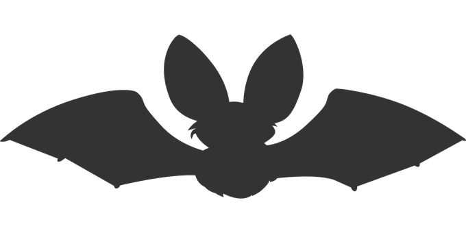 Silhouetteof Flying Bat PNG image