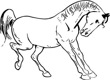 Silhouetteof Grazing Horse PNG image