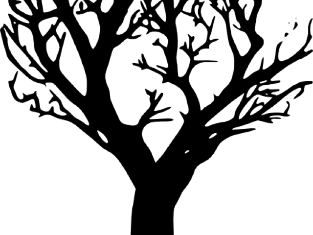 Silhouetteof Leafless Tree.png PNG image