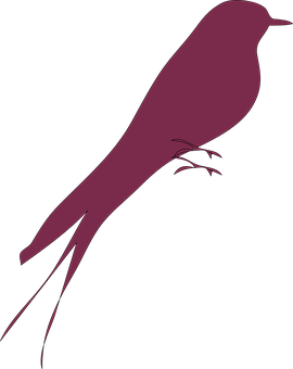 Silhouetteof Purple Bird PNG image