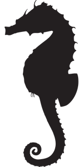 Silhouetteof Seahorse PNG image