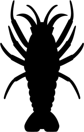 Silhouetteof Shrimp PNG image