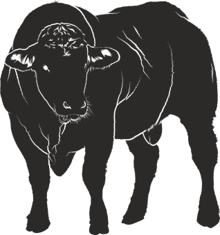 Silhouetteof Standing Bull PNG image