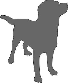 Silhouetteof Standing Dog PNG image