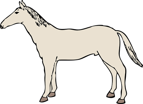 Silhouetteof Standing Horse PNG image