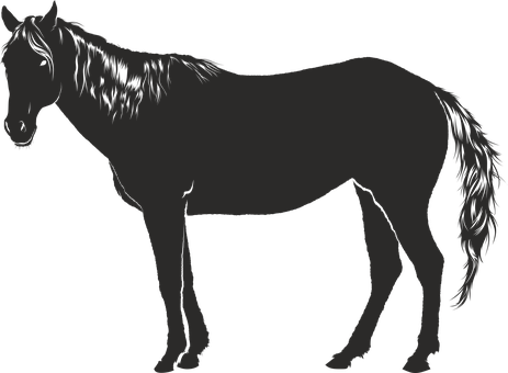 Silhouetteof Standing Horse PNG image