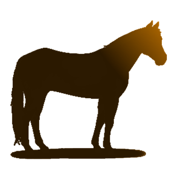 Silhouetteof Standing Horse PNG image