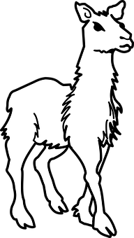 Silhouetteofa Llama PNG image