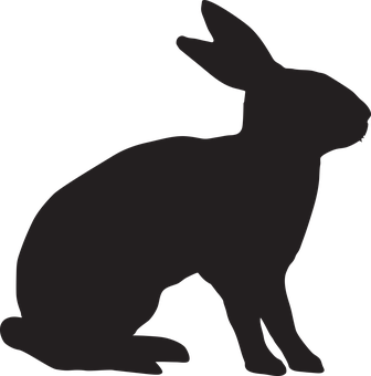 Silhouetteofa Rabbit PNG image