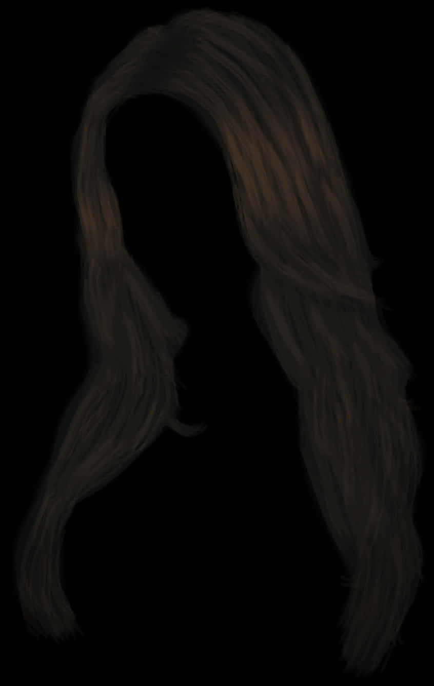 Silhouettewith Long Hair PNG image