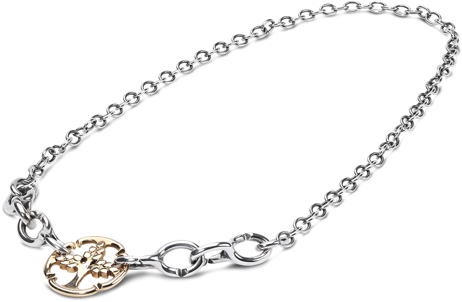 Silver Gold Accent Chain Necklace PNG image