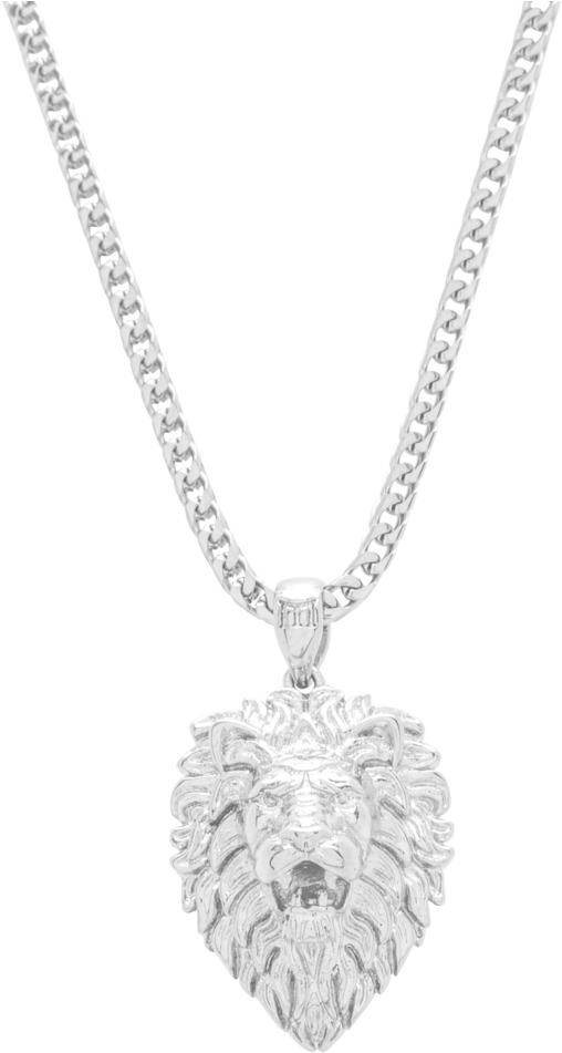 Silver Lion Pendant Necklace PNG image