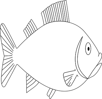 Simple Blackand White Fish Illustration PNG image
