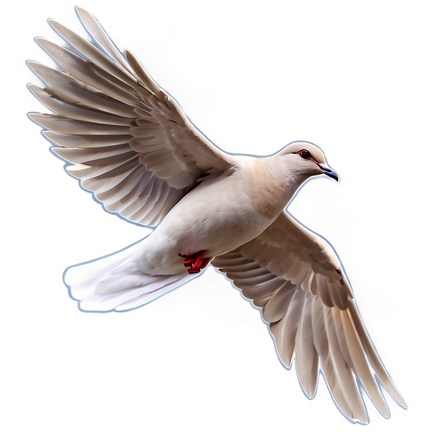 Simple Dove Clipart Png Dsg PNG image