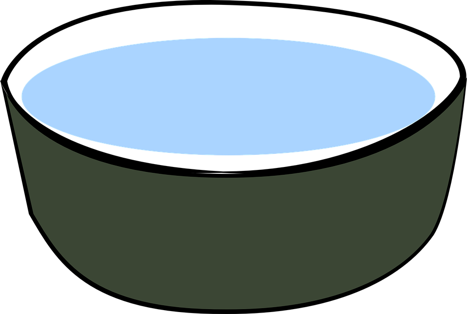 Simple Green Bowl PNG image