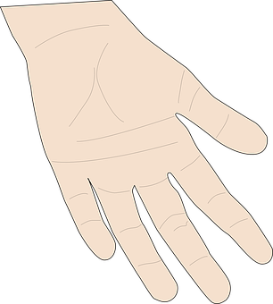 Simple Hand Illustration PNG image