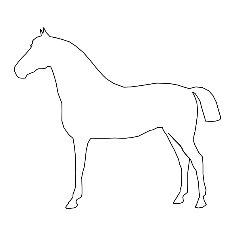 Simple Horse Line Drawing PNG image