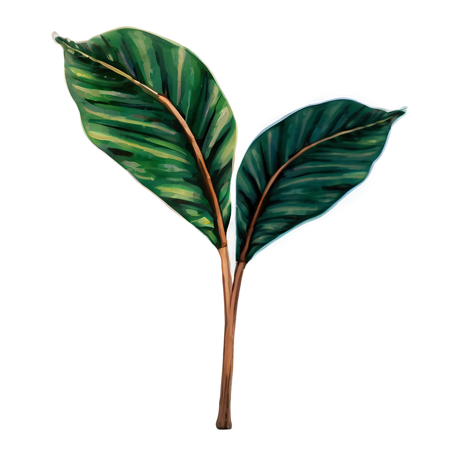 Simple Plant Leaves Png 96 PNG image