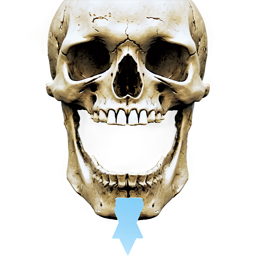 Simple Skull C PNG image