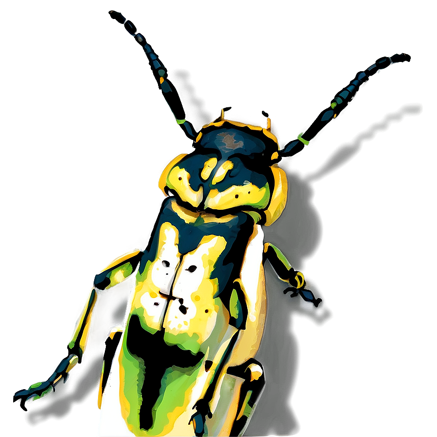 Weevil Png Images (100++)