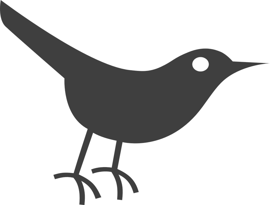Simplified Black Bird Silhouette PNG image