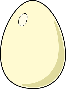 Simplified Cartoon Egg Illustration PNG image