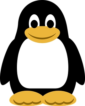 Simplified Cartoon Penguin Graphic PNG image