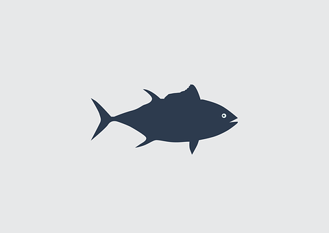Simplified Fish Silhouette Graphic PNG image