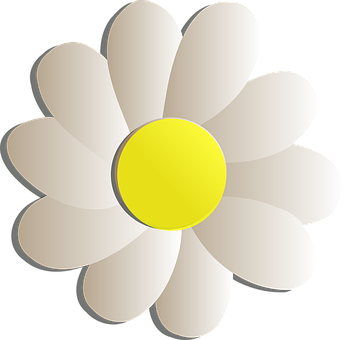 Simplified Graphic Daisy Flower PNG image