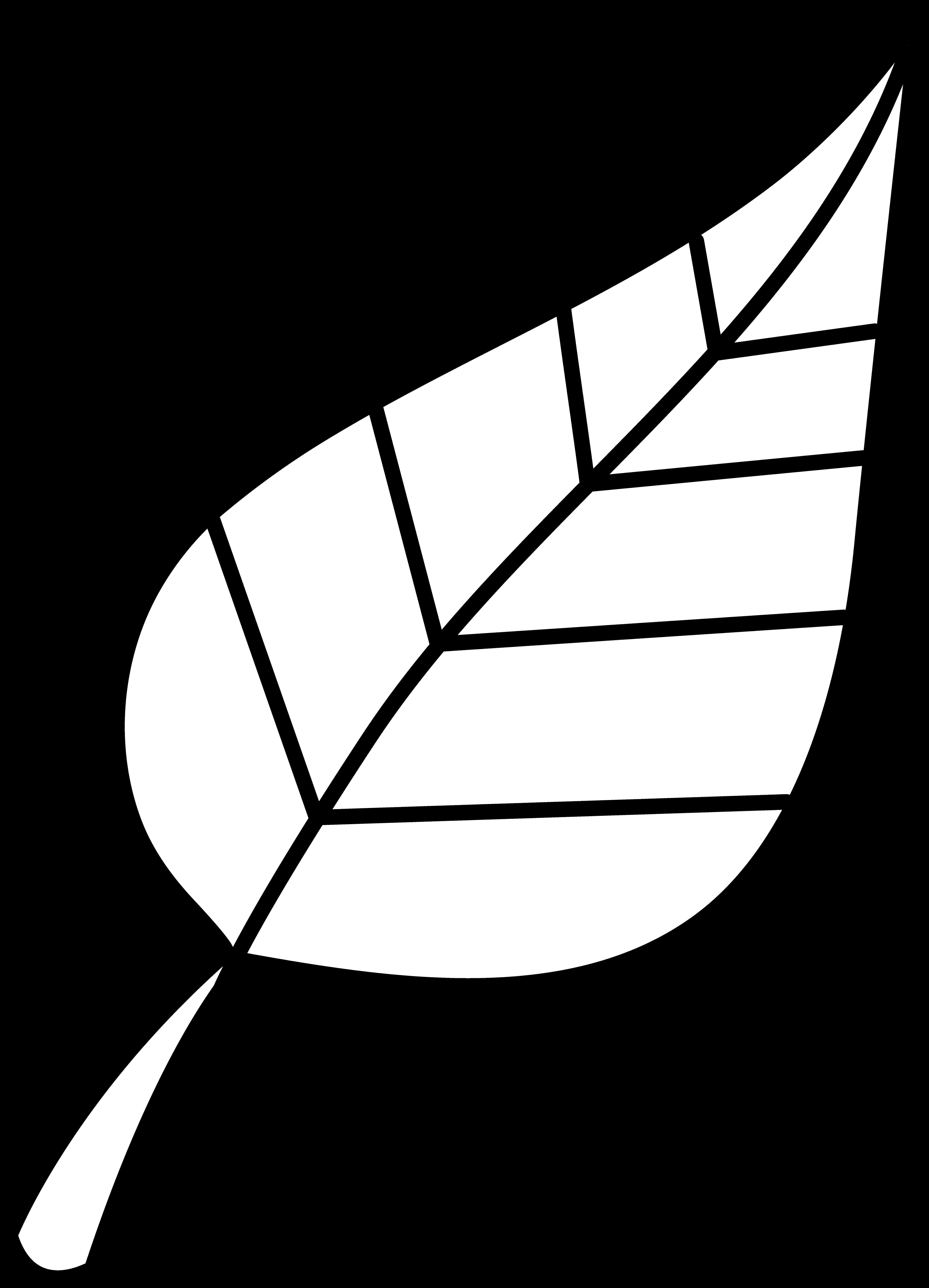 Simplified Leaf Graphic Blackand White PNG image