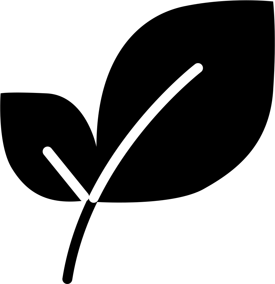 Simplified Leaf Graphic Icon PNG image