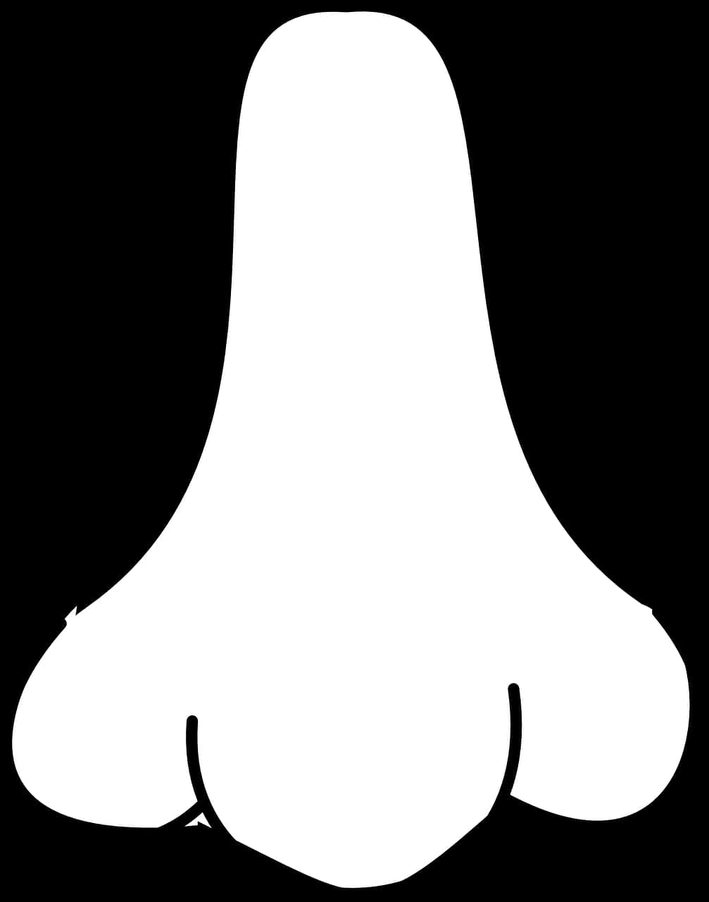 Simplified Nose Outline Graphic PNG image