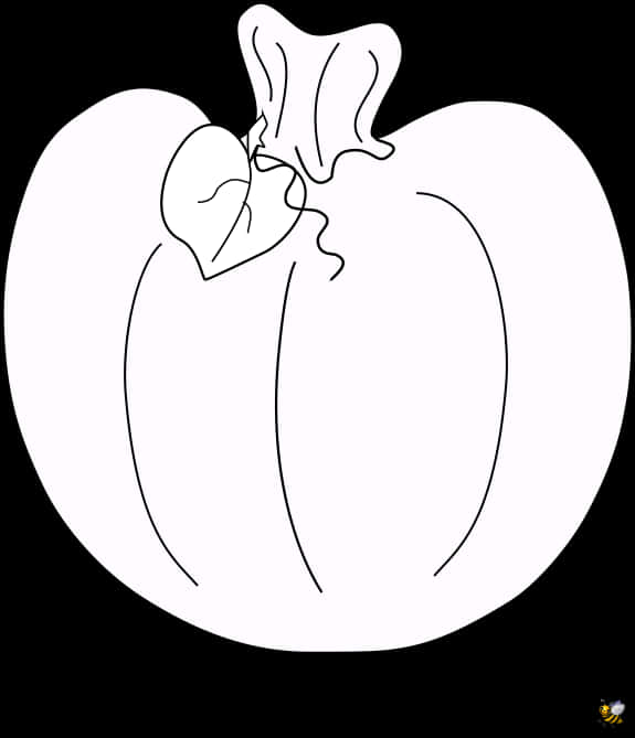 Simplified Pumpkin Line Art PNG image