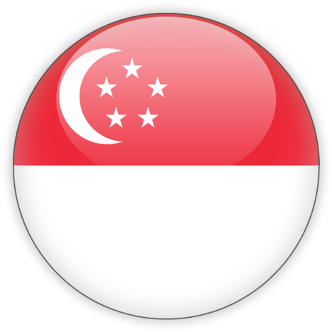 Singapore Flag Button PNG image