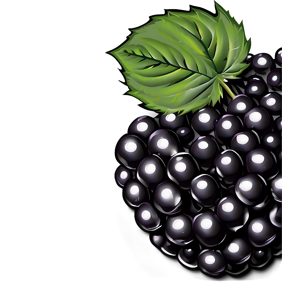 Single Blackberry Png Icf32 PNG image