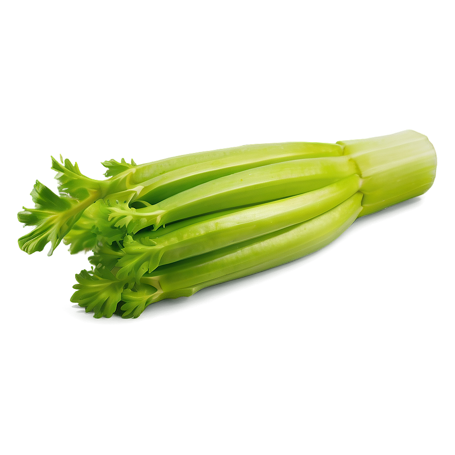 Single Celery Stalk Png Gkw PNG image