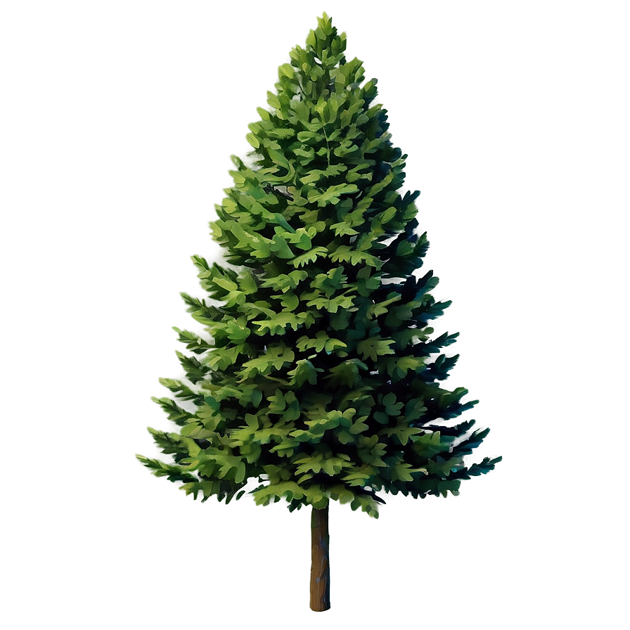 Single Evergreen Tree Png Hxk98 PNG image