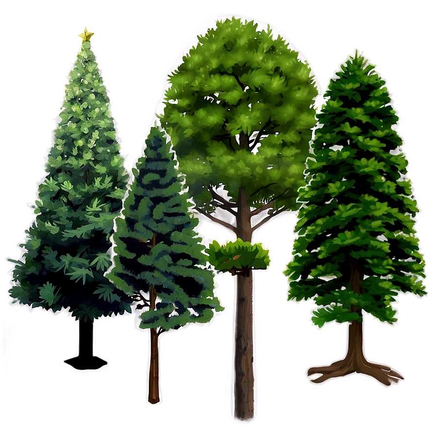 Single Evergreen Tree Png Qsc91 PNG image