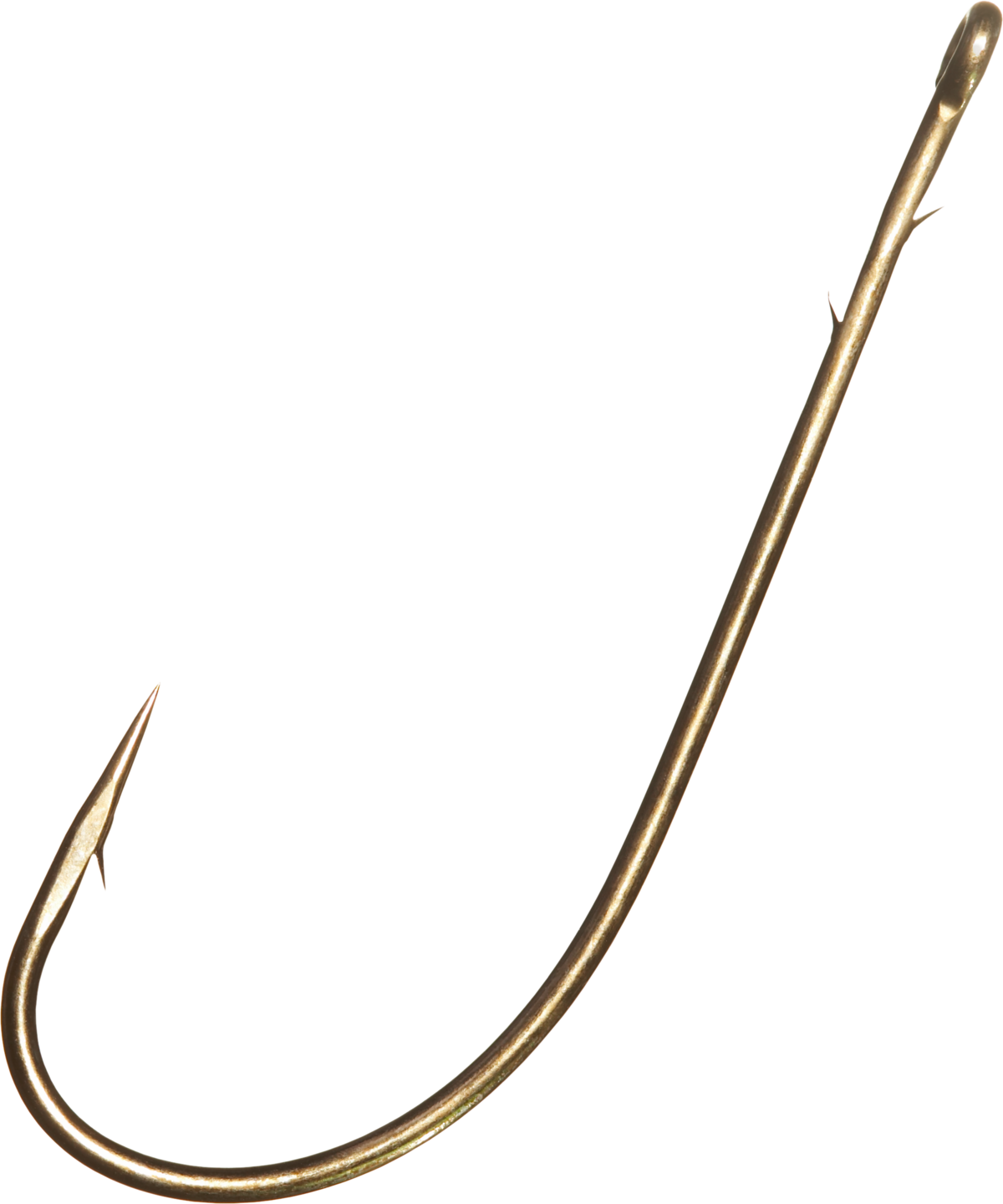 Single Fish Hook Isolated PNG image