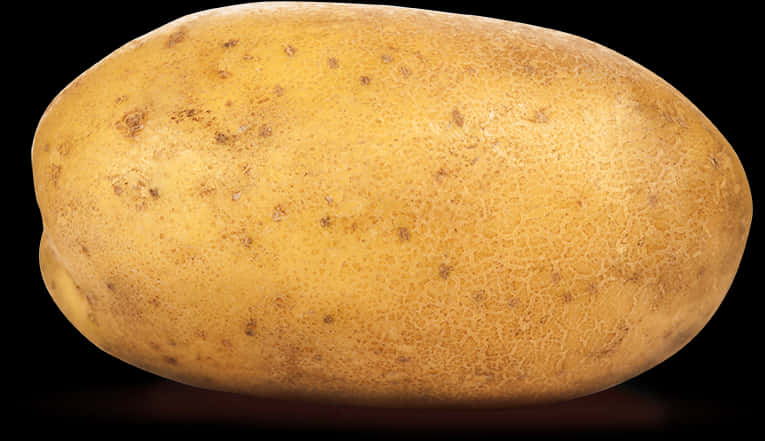 Single Fresh Potato Isolated PNG image