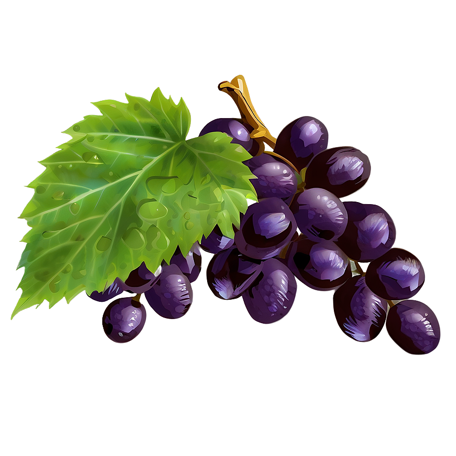 Single Grape C PNG image