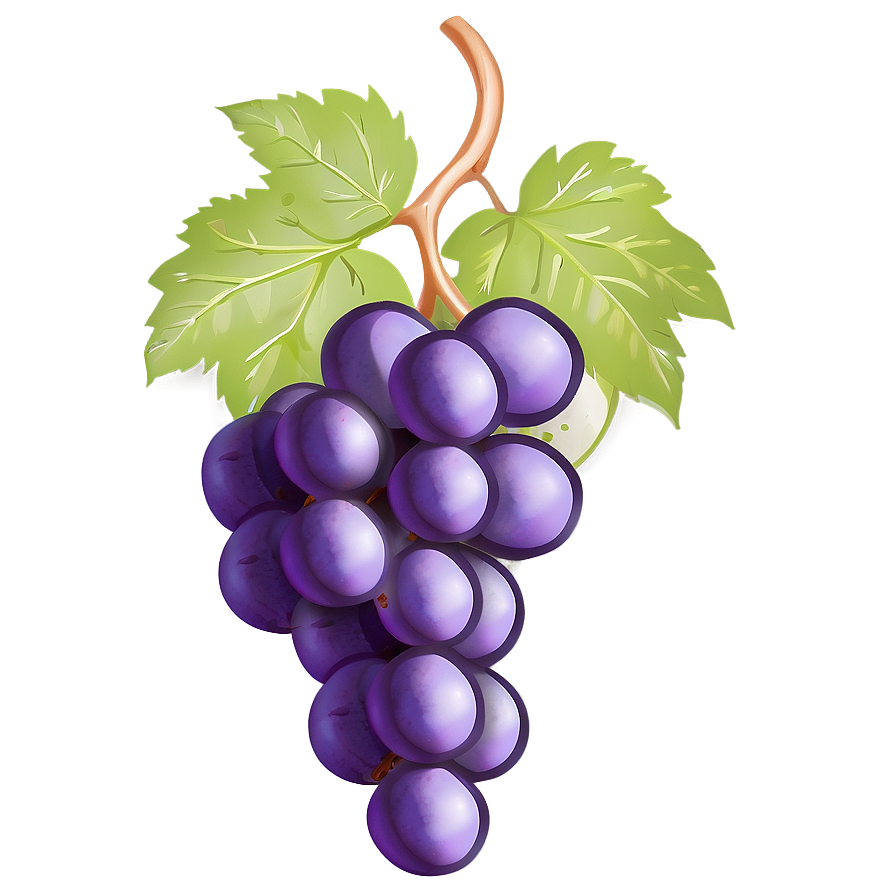 Single Grape On White Png 06292024 PNG image