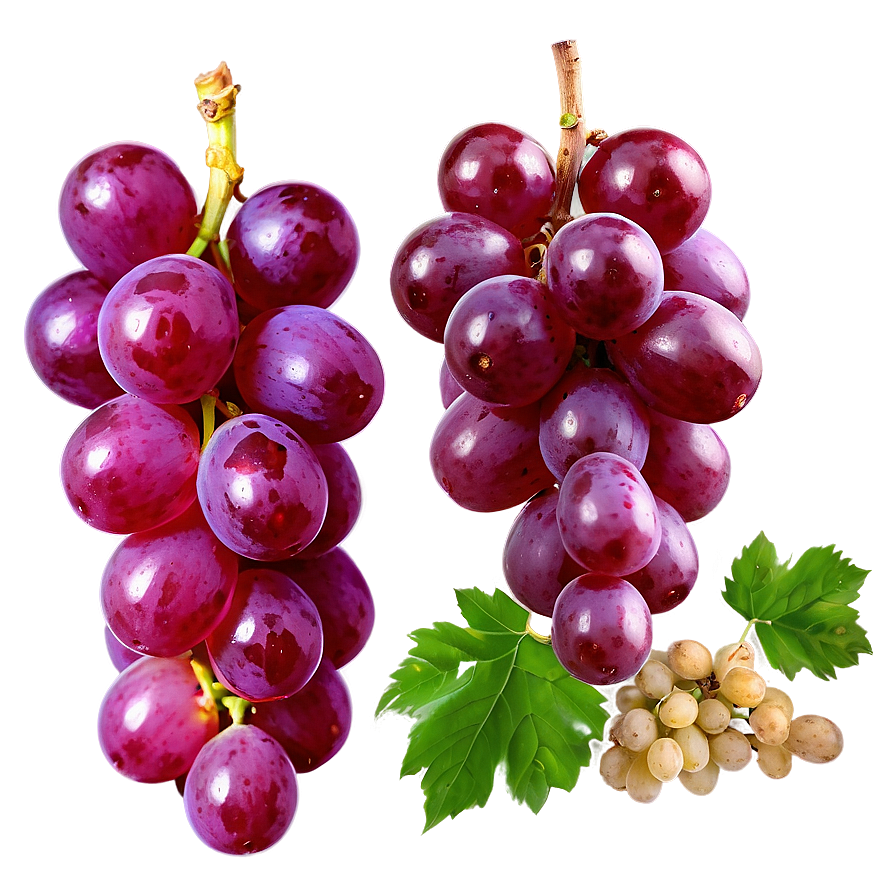Single Grape On White Png Fgo PNG image